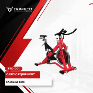 Chain Type Commercial Spinning Bike TRD D01