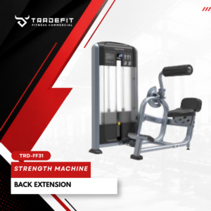 BACK EXTENSION TRD FF31
