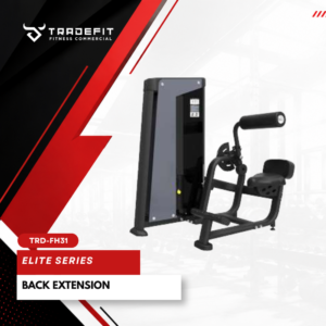 BACK EXTENSION TRD FH31