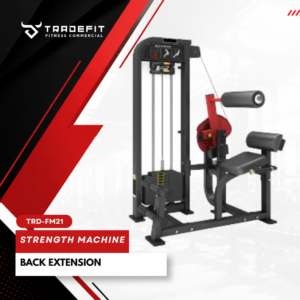 BACK EXTENSION TRD FM21