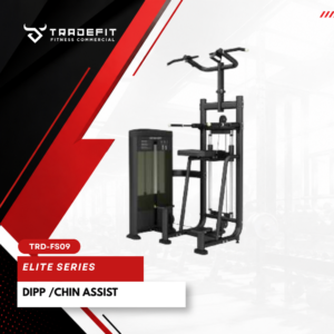 DIPP / CHIN ASSIST TRD FS09