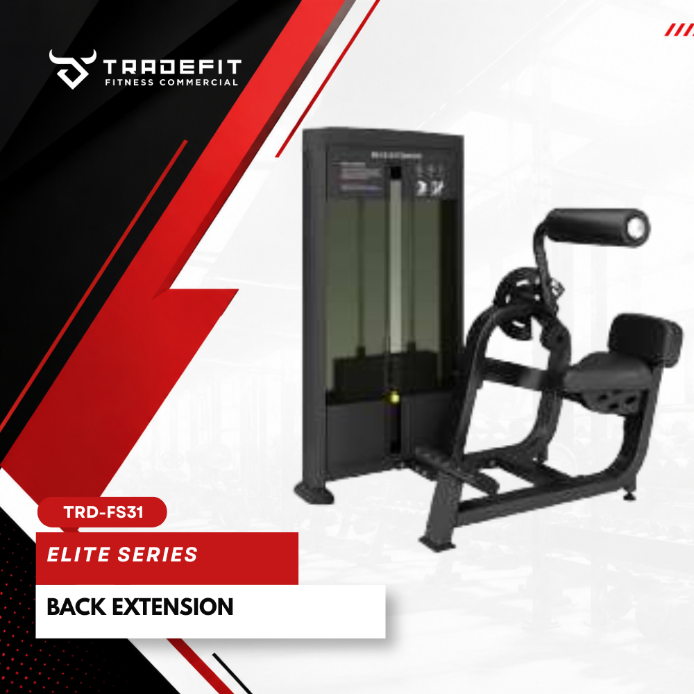 BACK EXTENSION TRD FS31